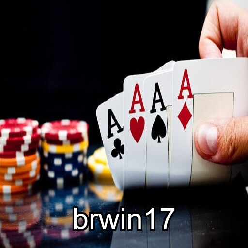 Interface do Aplicativo brwin17 - Design Premium e Intuitivo